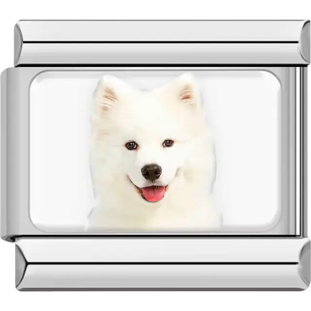 White Samoyed dog portrait Italian charm bracelet link
