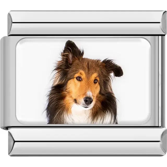 Brown black white Sheltie dog portrait Italian charm bracelet link