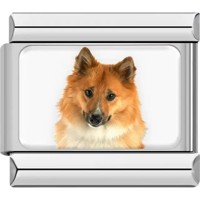 Orange white Shetland Sheepdog dog portrait Italian charm bracelet link