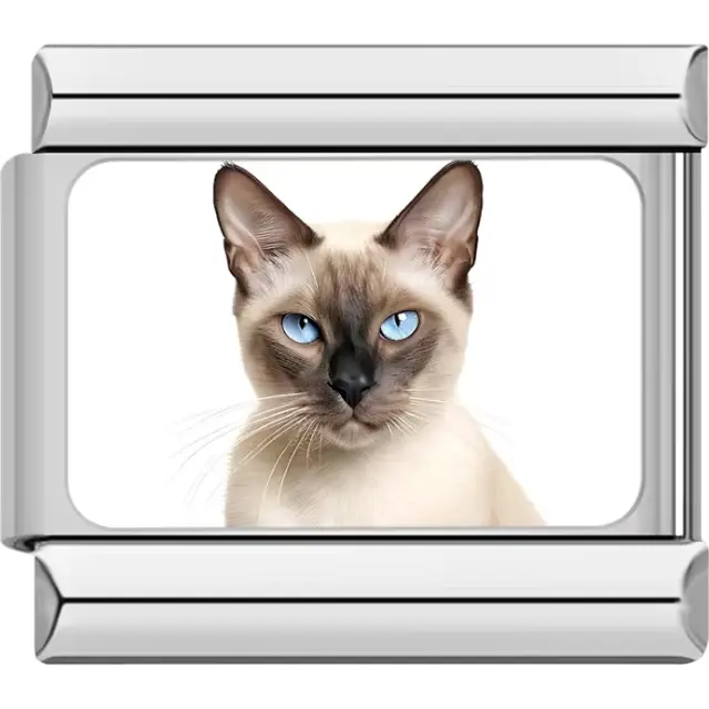 Close-up of Siamese cat with blue eyes and dark facial markings on white background Italian charm bracelet link