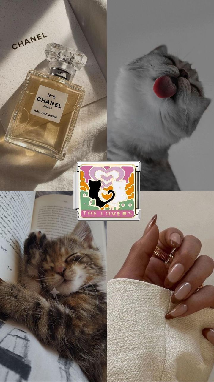 The cat lovers silver charm aesthetic collage