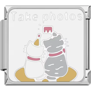 Two cats with gray and white fur and golden accents with the text "Take photos" on a white background Italian charm bracelet link