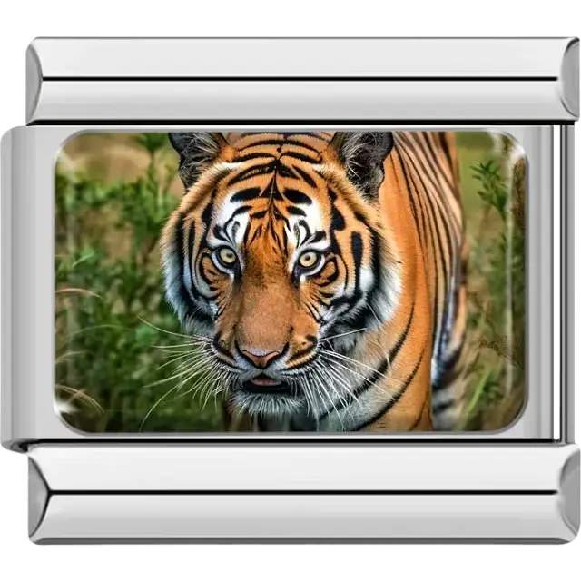 Close-up of a tiger with green foliage background Italian charm bracelet link