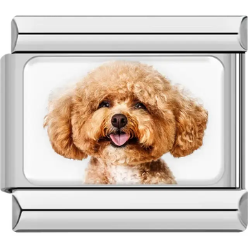 Light brown Toy Poodle dog portrait Italian charm bracelet link