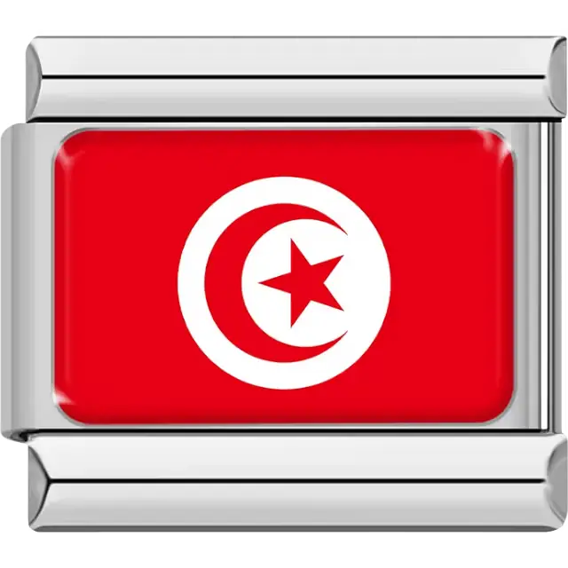 Tunisian flag Italian charm bracelet link