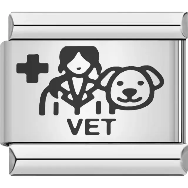 Black veterinarian figure with a dog and medical cross above bold "VET" text Italian charm bracelet link