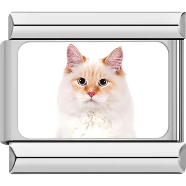 Close-up of white cat with pink ears on white background Italian charm bracelet link