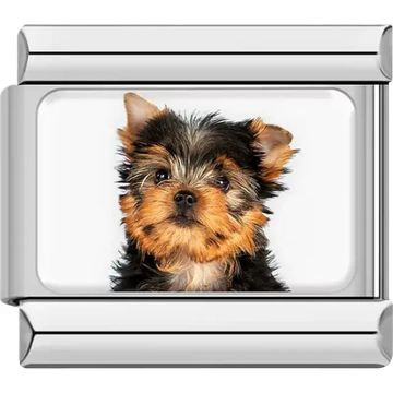 Black orange Yorkshire Terrier dog portrait Italian charm bracelet link