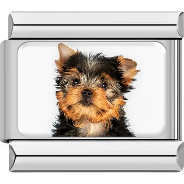 Black orange Yorkshire Terrier dog portrait Italian charm bracelet link